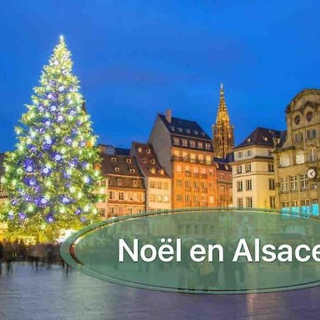Gite Classe 4 Etoiles  La Maison Du Tonnelier Oberbronn Екстериор снимка