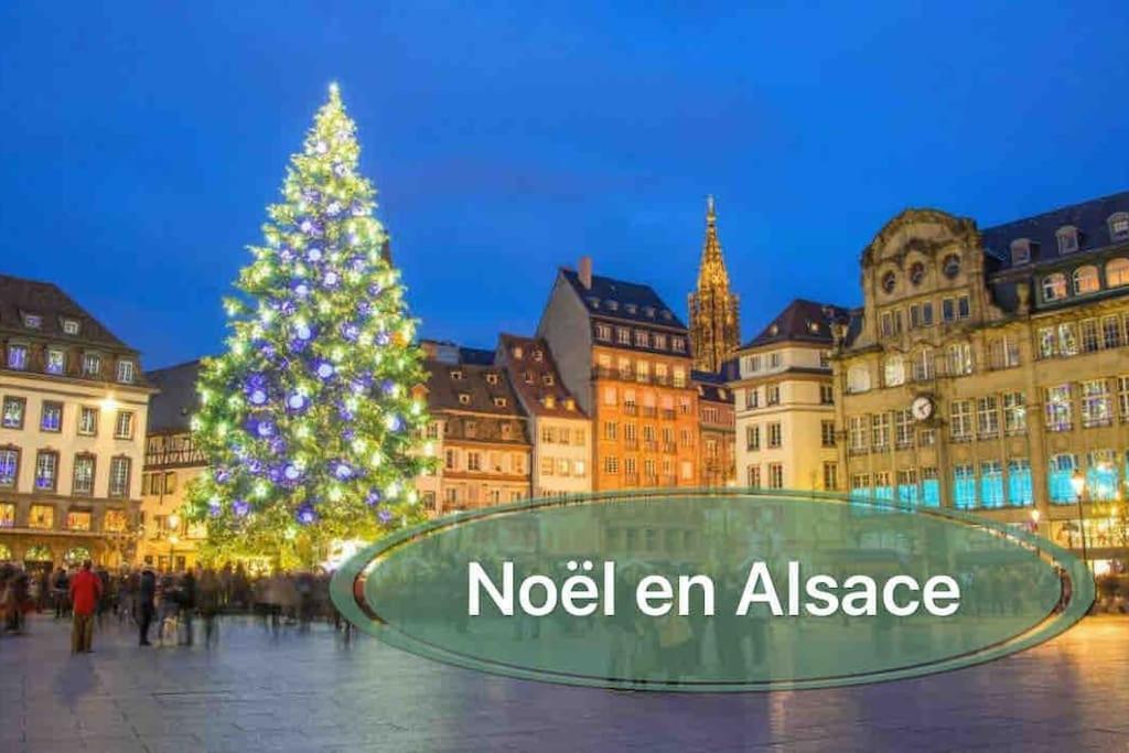 Gite Classe 4 Etoiles  La Maison Du Tonnelier Oberbronn Екстериор снимка