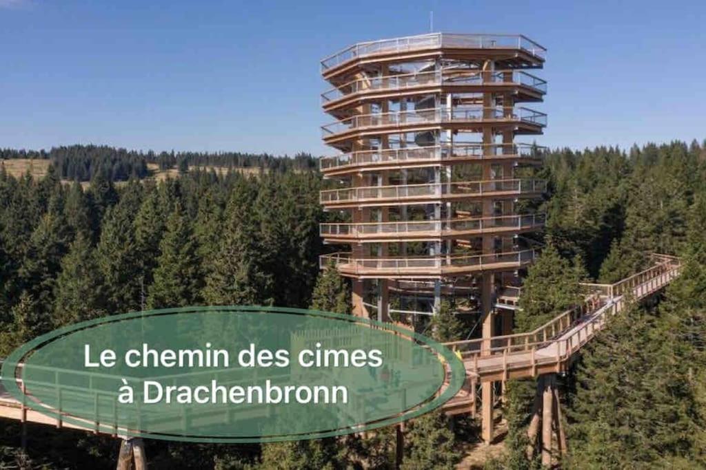 Gite Classe 4 Etoiles  La Maison Du Tonnelier Oberbronn Екстериор снимка