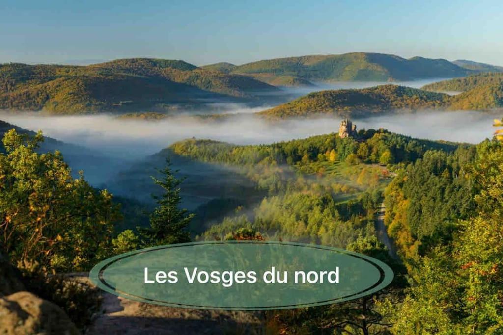 Gite Classe 4 Etoiles  La Maison Du Tonnelier Oberbronn Екстериор снимка