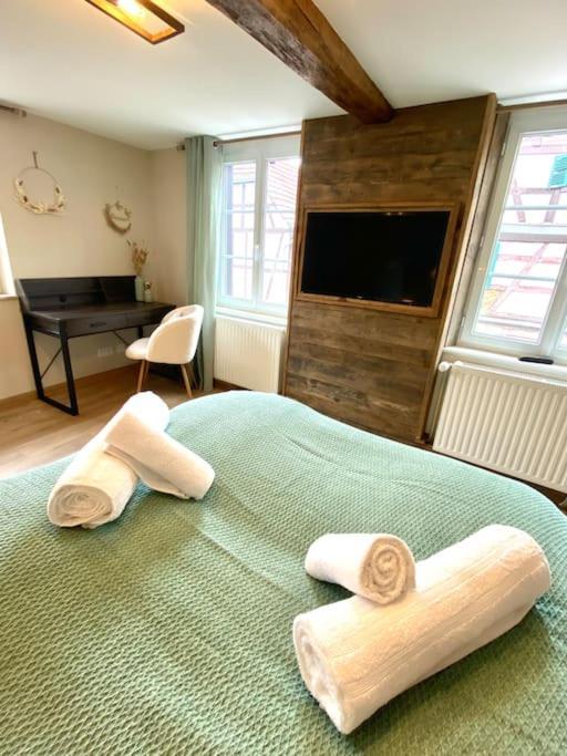 Gite Classe 4 Etoiles  La Maison Du Tonnelier Oberbronn Екстериор снимка