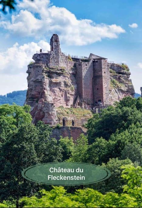 Gite Classe 4 Etoiles  La Maison Du Tonnelier Oberbronn Екстериор снимка