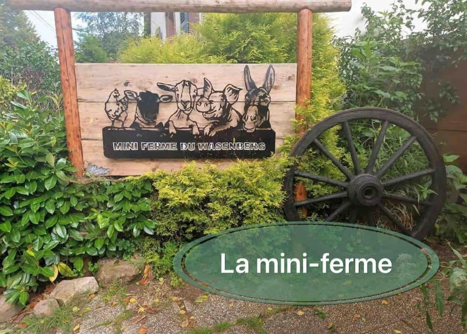 Gite Classe 4 Etoiles  La Maison Du Tonnelier Oberbronn Екстериор снимка